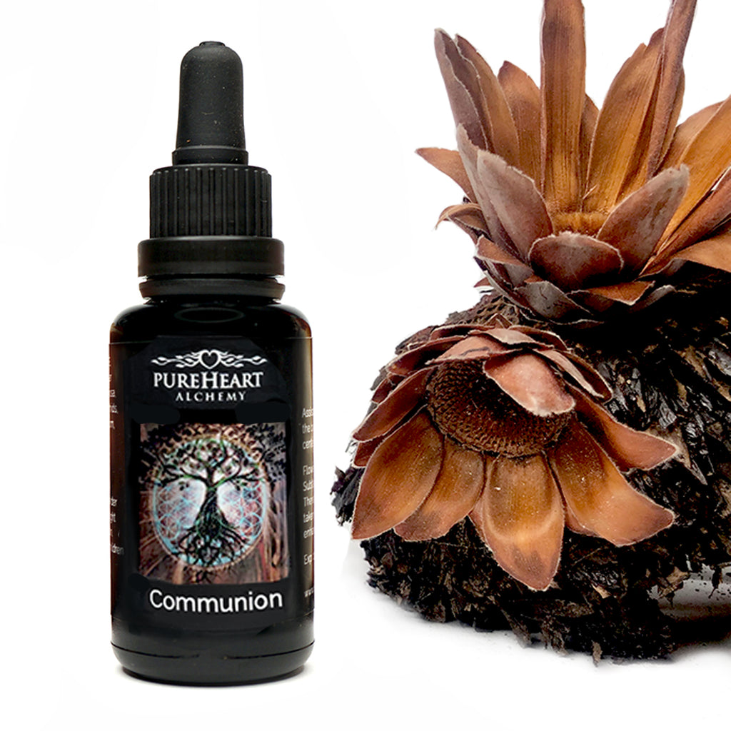 Communion Essence ~ Earth Star Chakra