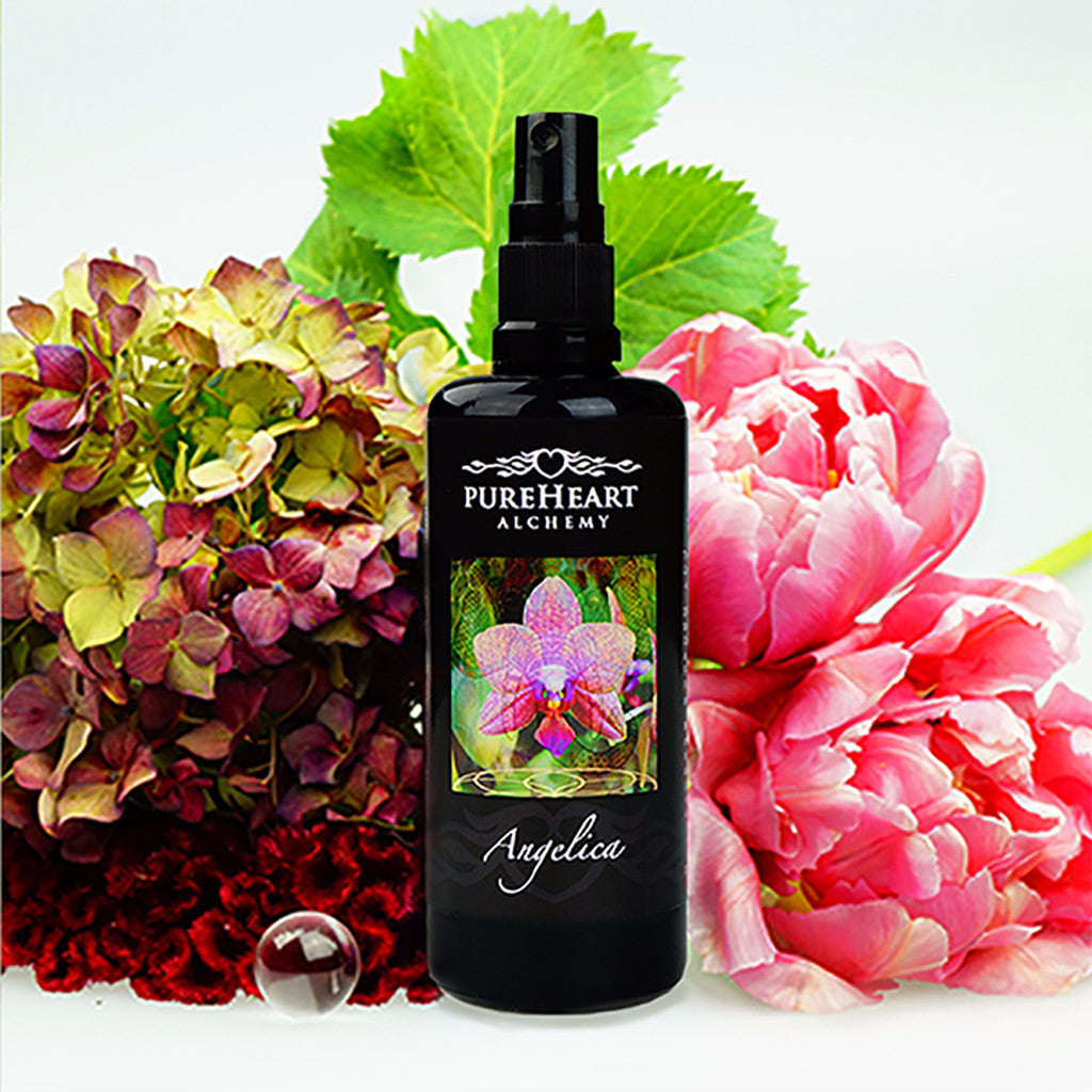 Angelica - Salve of Comfort during Tender Transitioning