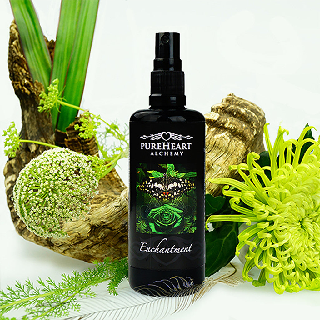 Enchantment ~ Engaging with the Sacred Language of Nature