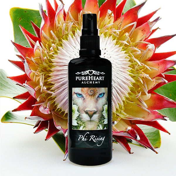 Phi Rising ~ Mapping our Destiny through Geometry's Eyes