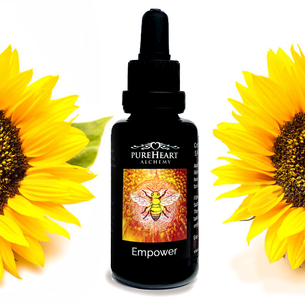 Empower Essence ~ Solar Plexus Chakra