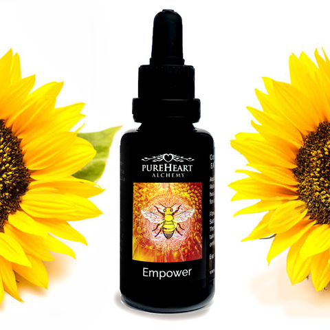 Empower Essence ~ Solar Plexus Chakra
