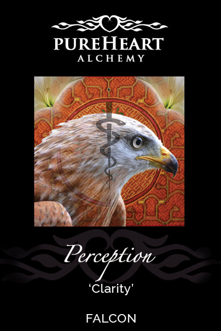 Perception ~ Inciting Discernment for our Highest Potential