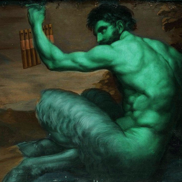 Enchantment ~ Engaging with the Sacred Language of Nature