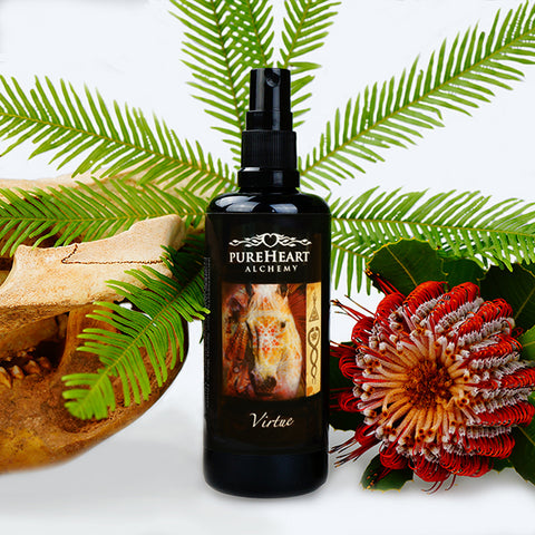 Virtue ~ Gentle-Breath of the Warrior's Heart