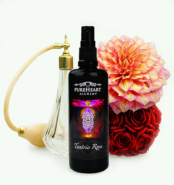 Tantric Rose ~ Merging our Sacred Sanctum with Purity