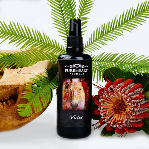 Virtue ~ Gentle-Breath of the Warrior's Heart