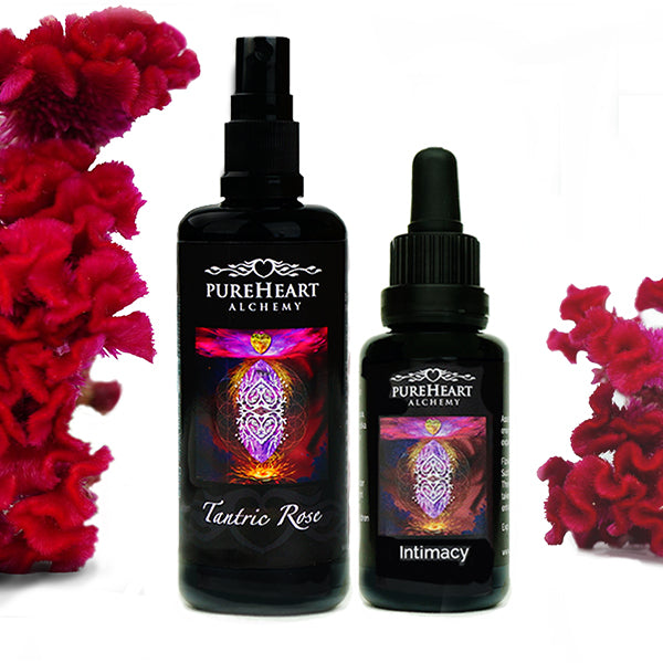 Intimacy Duo - Art of Intimacy Special Offer