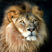 Mystic ~ Inviting Mystery in with Fiery Enthusiasm